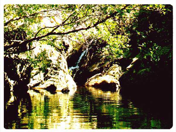 El Charco de Los Morales